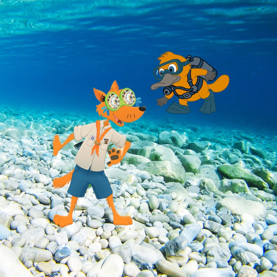 Klausur Wölflingsdiözesanlager 2026